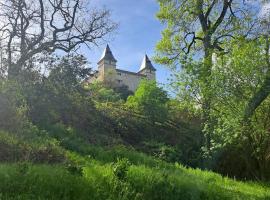 Chateau de la Segue, hotel dengan kolam renang di Fauroux