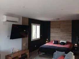Loft sauna jacuzzi ospariegeois