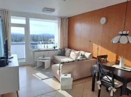 Ferienwohnung Skadi, Hahnenklee