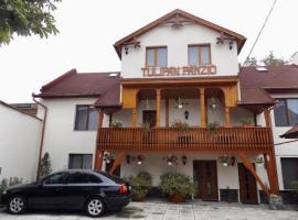 Tulipán Panzió, holiday rental in Sfântu-Gheorghe