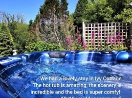 Romantic Cottage with Private Hot Tub, hotel i Llanfyrnach