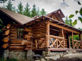 Forest House exclusive, cottage in Skhidnitsa