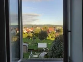 Frasne logement entier. Gîte les Brimbelles