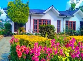 Silver Rose Holiday Home