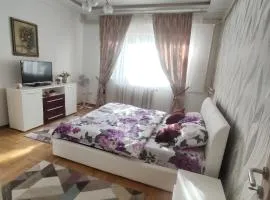 Zone Dedinje