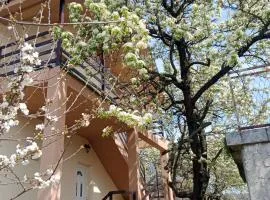 Apartmani Ostojic