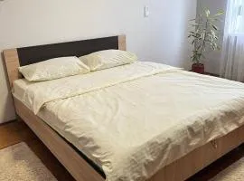 Центр. Шептицького