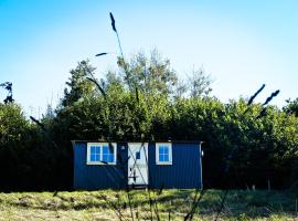 Oak Shepherds Hut, camping en Wootton Fitzpaine