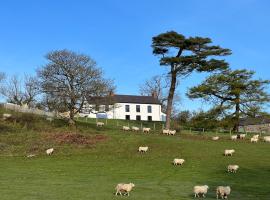 Dyffryn, holiday home in Newport Pembrokeshire