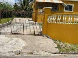 Cheerful VinAdas, cottage in Mandeville