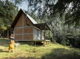 Tiny House