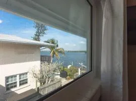 Coastal Breeze Siesta Turtle "B"