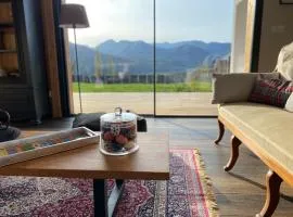 Le Chalet de Castille - chalet pyrénéen grand confort - spa