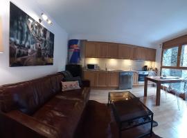 Pas de la Casa, acogedor apartamento a pie de pistas