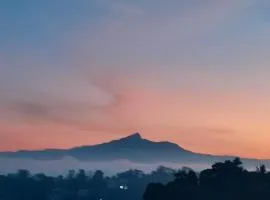 The Tenthola