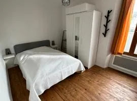 Joli appartement proche centre ville, thermes, Aquensis