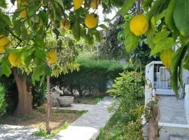 Elpida Lemon Garden House