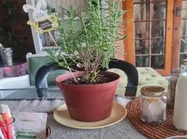 Milk and Honey Guesthouse