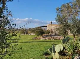 Agriturismo Le Cupole