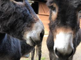 Lane House Farm, semesterboende i Todmorden