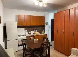 Apartman u blizini centra grada