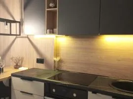 New loft style apartment