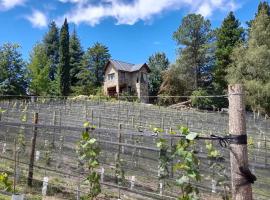 Los Aromos cabañas & viñedo