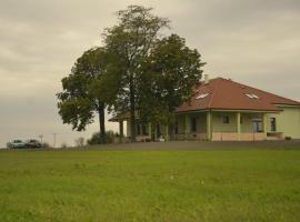 Penzion Bokros, rumah tamu di Patince