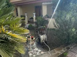 La Mansarda