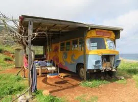 The Old Bus "Away with the fairies"