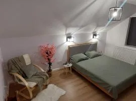 Matei Rent Apt