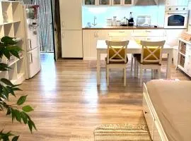 Apartment Milú