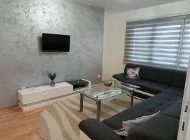 Apartman VOZIC