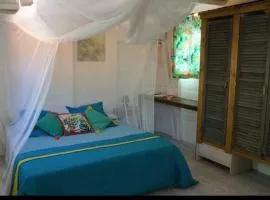 Le grand palm gîte filao