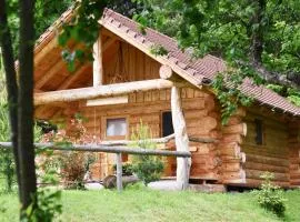 Hut at the forest