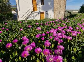 Casita of Casa Olivar, hotel barat a Tocon