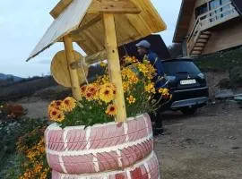 Căsuțele din Zăbran