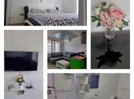 Apartma Piko