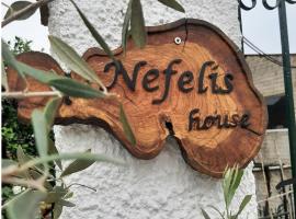 Nefeli's country house, cheap hotel in Kornáta