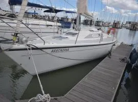Arecadina