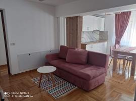 Apartament Cristina, apartment in Borşa