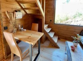 Mountain Eco Shelter 8, glamping site in Funchal