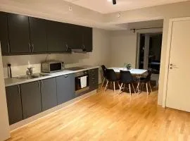 4-Bedroom-Apt for 7/Oslo Central
