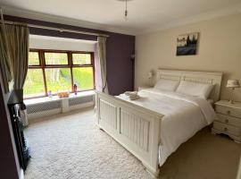 Taylors Hill Luxury Guest House, hotel Galwayben