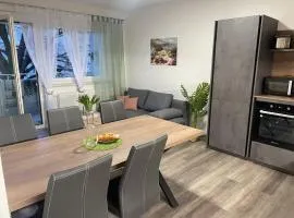 Sorinas Home WD6