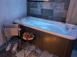 Appartement La Splenzia SPA Jacuzzi wifi clim, hotel v Avignonu