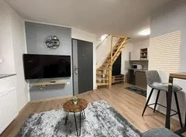 Apartman 4YOU Central station - GARAGE - Self check in