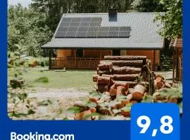 Duch Huszczy w środku sosnowego lasu