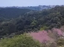 ΠΑΝΟΡΑΜΑ