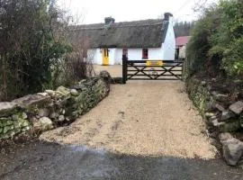 Sweet Meadow A delightful romantic thatched cottage by river Shannon on 4 acres is for peace party family or work from home
